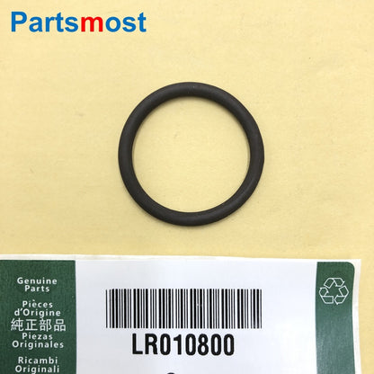 3.0L 5.0L TUBO DE SAÍDA DE ÁGUA DE GASOLINA O-RING TERMOSTATO MANGUEIRA DE VEDAÇÃO PARA DISCOVERY 4 RANGE ROVER SPORT VELAR JAGUAR LR100353 LR010800
